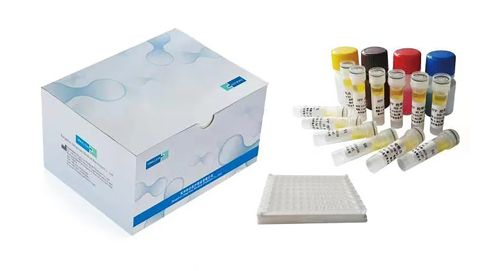 Purified Native dsDNA, Calf Thymus, ELISA/Antigen grade