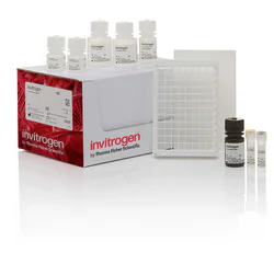 Catalase Colorimetric Activity Kit (2 Plate)