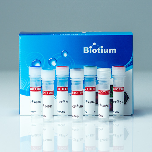 Fluorescein-Phalloidin