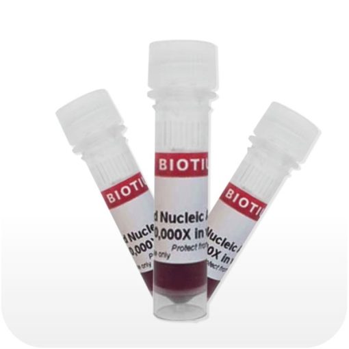 GelRed® Nucleic Acid Gel Stain, 10, 000X