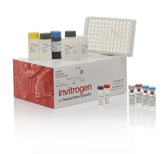 Monkey Cathepsin Antibodies ELISA kit