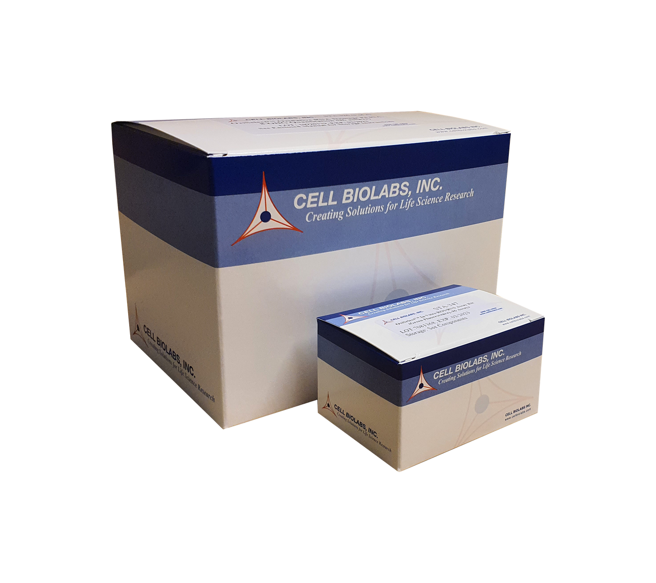 ViraDuctin™ AAV Transduction Kit (50 Transductions)