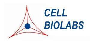 OxiSelect™ Protein Carbonyl ELISA Kit (1 plate)