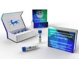 Mouse Anti-Bovine Type II Collagen IgG Antibody Assay Kit, OPD