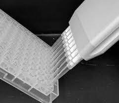 Sirius Red Total Collagen Detection Assay PLATE Kit