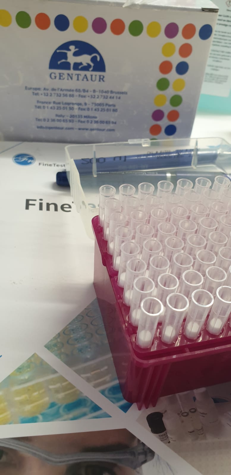 Type II Collagen Detection Kit, Multi-Species
