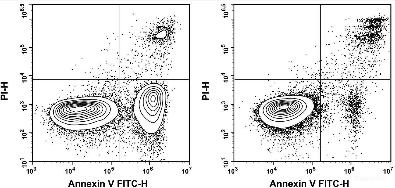 Annexin V-FITC Reagent