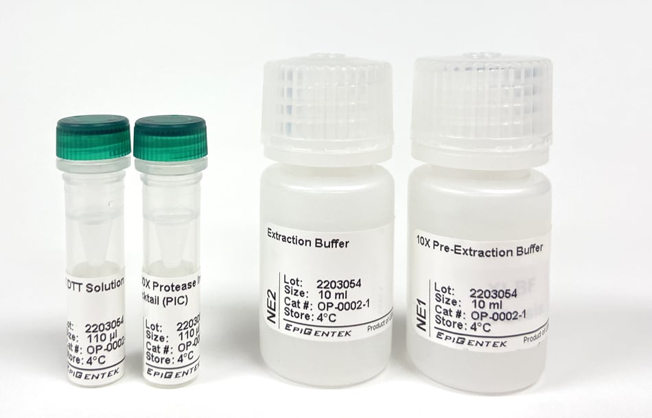 EpiQuik Nuclear Extraction Kit 