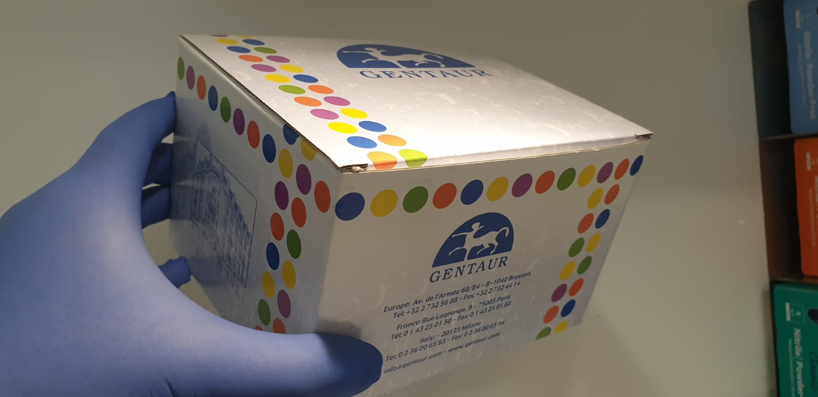 total collagen assay kit