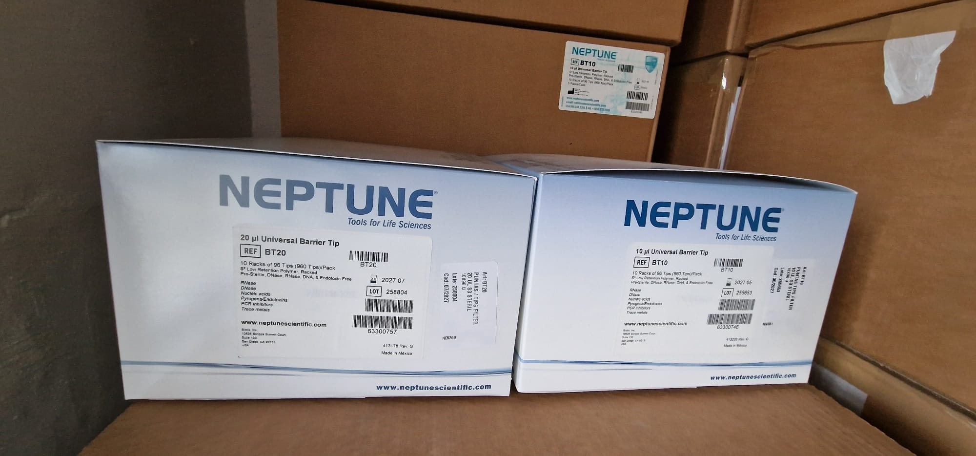 Filter tip NEPTUNE BT10E
