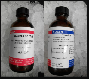 DIRECTPCR LYSIS REAGENT (TAIL)