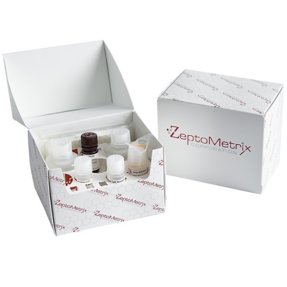 Total Glutathione Peroxidase Assay Kit (100 tests)